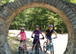 f785aa67 a93e 451f 8515 1a6559683d9f