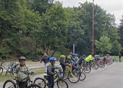 fb232811 9008 4d2c 936a 192fa74979b5